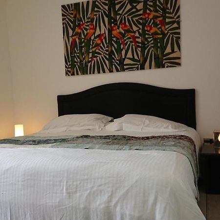 Surf Lookout - King Size En-Suite With Sea Views New Quay Εξωτερικό φωτογραφία